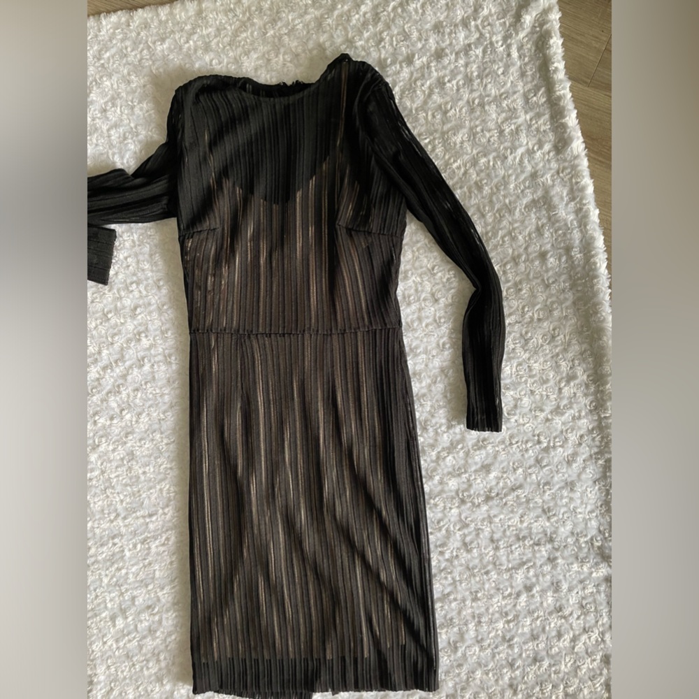 Black Sheer Dress With Tan Slip